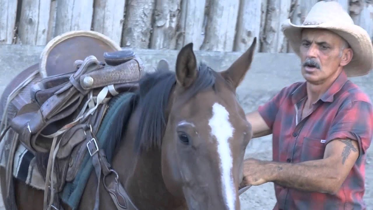 UN COWBOY sui nostri monti