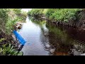 Test Action Jumpfrog Hammerhead Bearing
