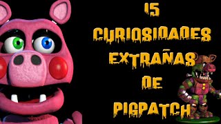 15 Strange Facts About Pigpatch