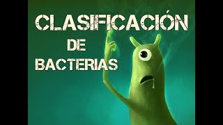 CLASIFICACIÓN DE BACTERIAS #3