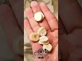 How Animal Bones are Recycle to Make Buttons #shorts #recycle #animals #bones #button #how #craft