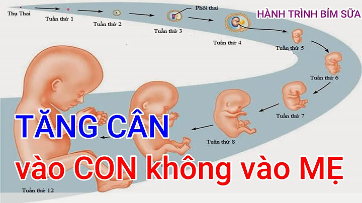 Uống sữa bầu như thế nào để vào con năm 2024