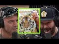 Bert Kreischer Tells Joe Rogan About 'The Tiger King'