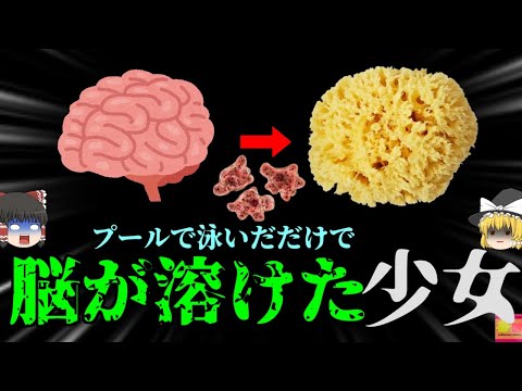 【2023年】脳がぐずぐずに溶けてしまう奇病 原因は"プールで泳いだこと"？脳を喰われた少女の悲劇【ゆっくり解説】