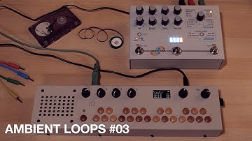 Ambient loops #03 ∞ Organelle M + Hologram Microcosm