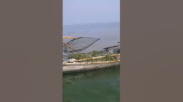 Anh Em Làm Sao Mà Biết Được Cảnh Bắt Cá Này #shorst