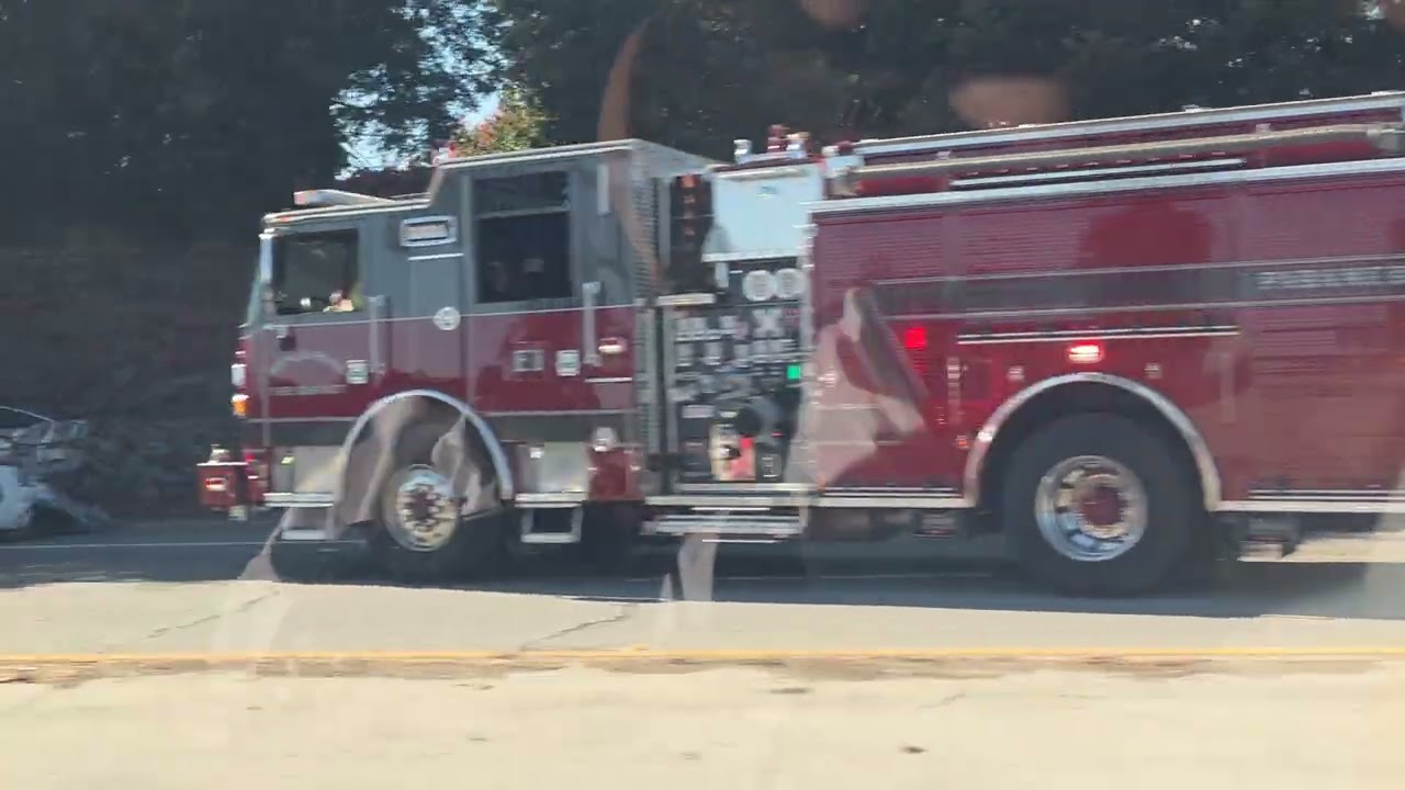 Driving on FSD V14.1.4 avoiding an accident 