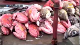 حكايا سفر: سوق سمك شعبي من البحر للمستهلك مباشرة في الإكوادور