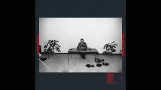 Surveillance - interpol