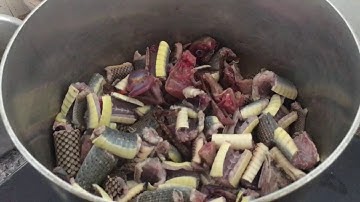 Món Rắn Hầm Thuốc Bắc Đơn Giản Thơm Ngon | Săn Trước Bão Số 9 - P2