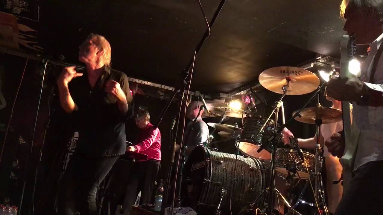 Radio Birdman in Juze // Man with Golden Helmet