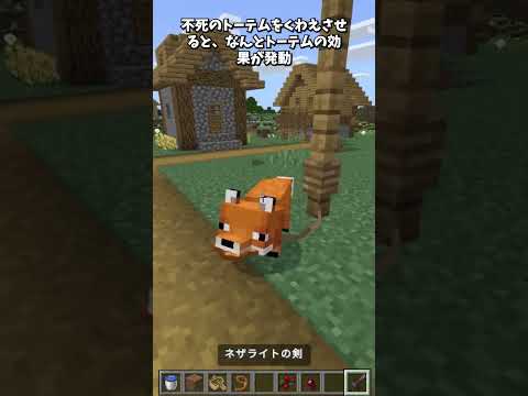 狐の秘密② #shorts  #マインクラフト #minecraft
