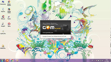 Installing Gom Player in Windows 7