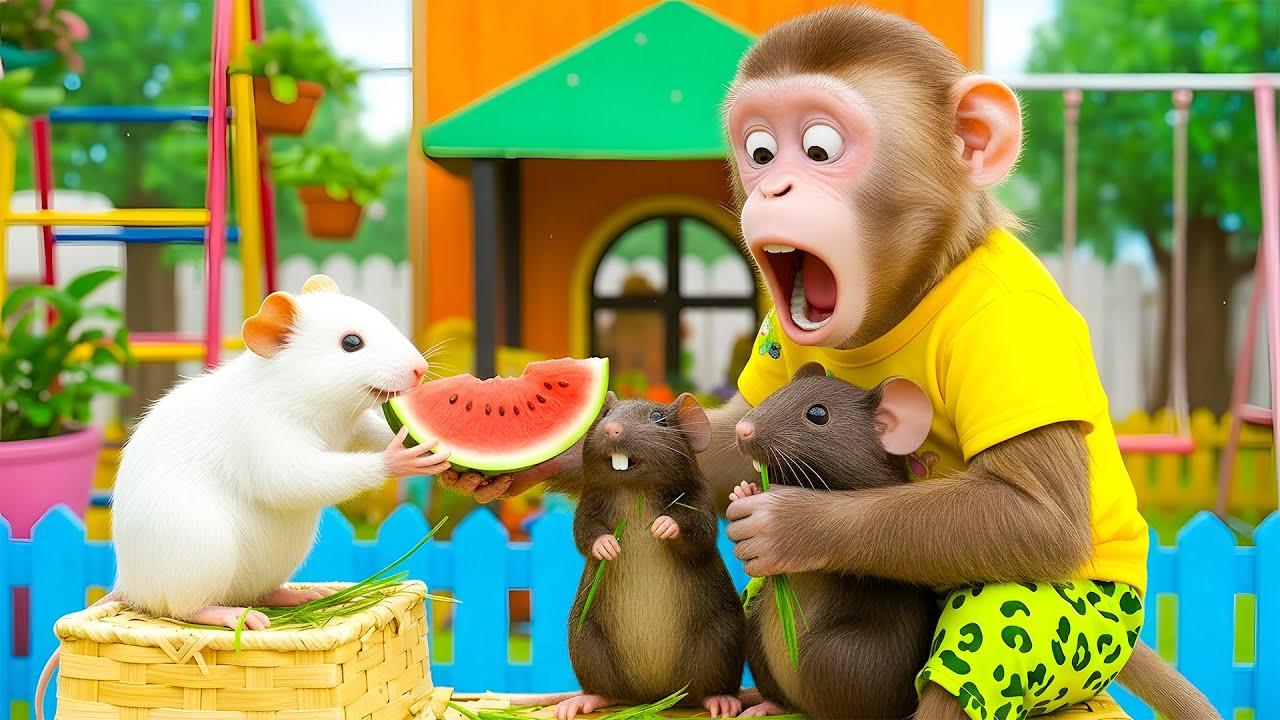 Monkey Mochi Takes Care of Three Cute Guinea Pigs and Plays with Them all Day at The Playground