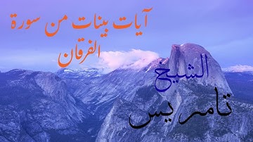 آيات بينات من سورة الفرقان   #الشيخ _ تامر _ يس