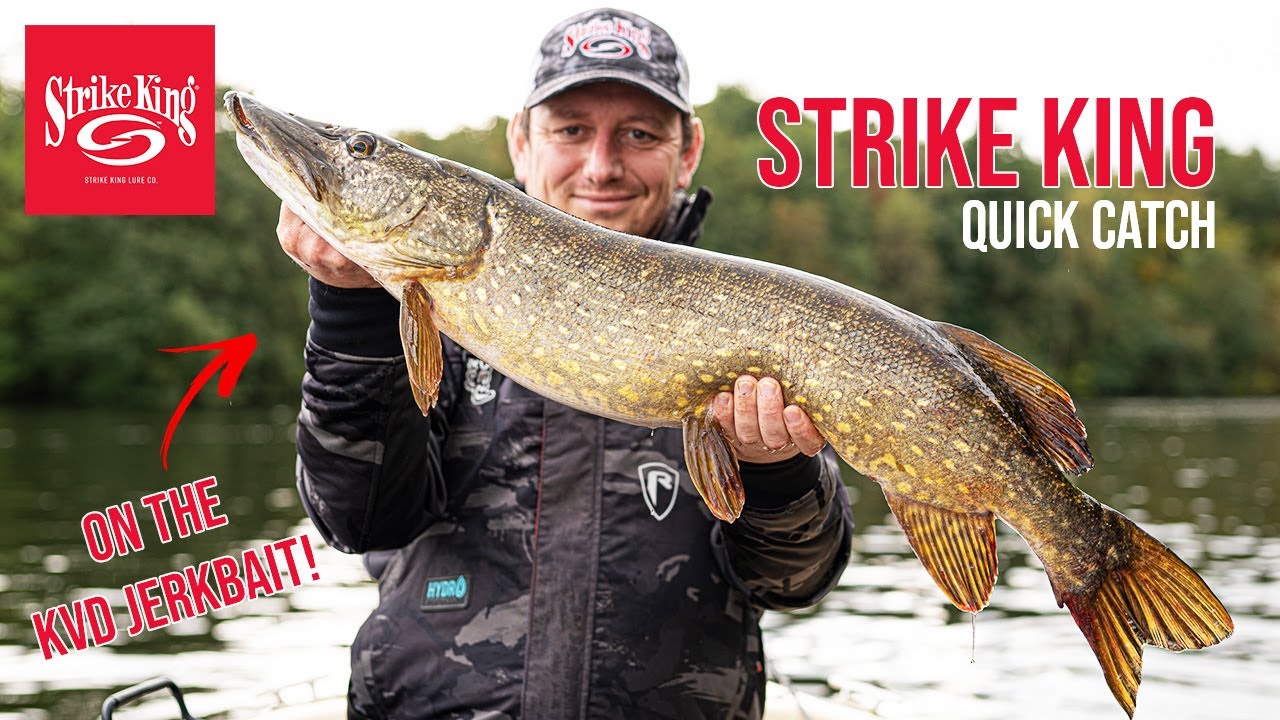 STRIKE KING QUICK CATCH with the KVD Jerkbait! (PIKE FISHING WITH LURES) 