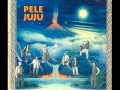 Pele Juju - Lost and Found