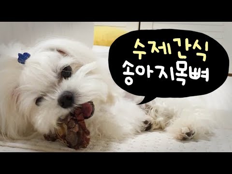 강아지 수제간식 송아지목뼈 먹방 / 강아지 치석제거 간식 / 애견간식 / 말티즈 / a puppy-made calf neck / maltese / マルティズ