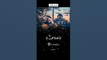 سورة يوسف  #حالات_واتس #تيك_توك