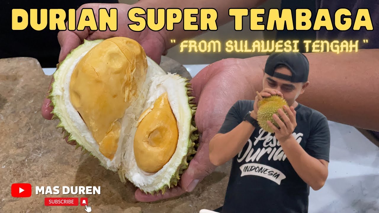 REVIEW DURIAN SUPERTEMBAGA DARI SULAWESI TENGAH , MARI KITA UNBOXING GAESSS 