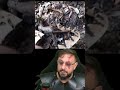Surucucu-pico-de-jaca camuflada embaixo do cacaueiro @gabrielnucleo Episódio #9 #biologohenrique