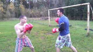 Forest Boxing