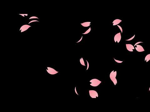 無料背景動画素材009/ピンク/桜/花びら/落ちる/フルHD/30秒