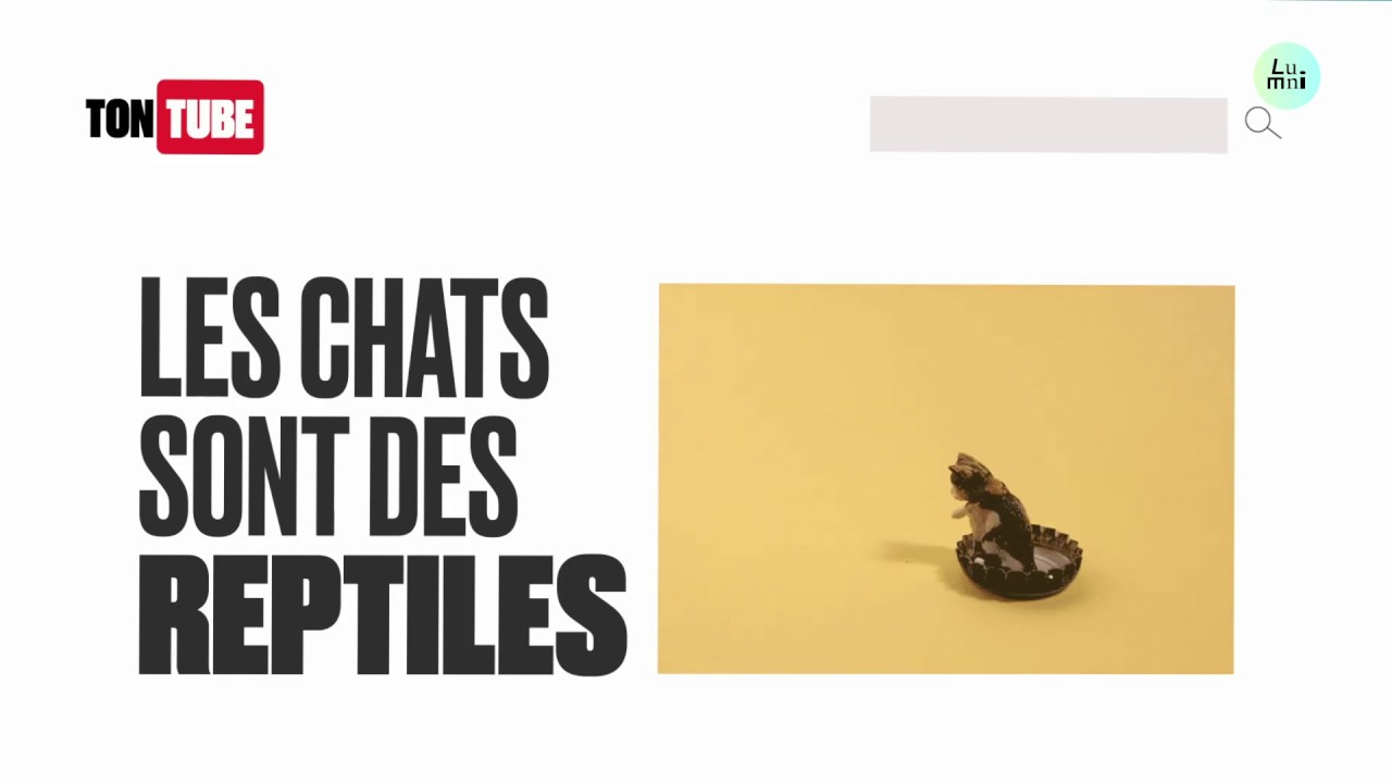 C’est quoi une