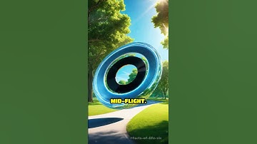 The Secret Power of Spin in Flight