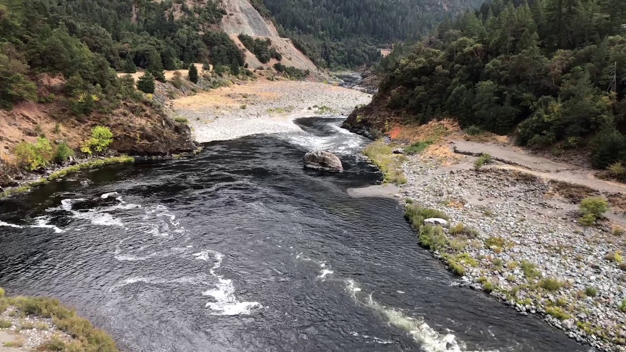 Buckmaster Pro Demo - Humboldt Seed Company