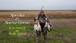 Speck & Snow Goose Hunt in the Heart of the Pacific Flyway with MOA Outfitters