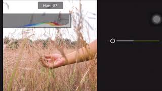 Tutorial Adobe Lightroom: Vintage Modern screenshot 3