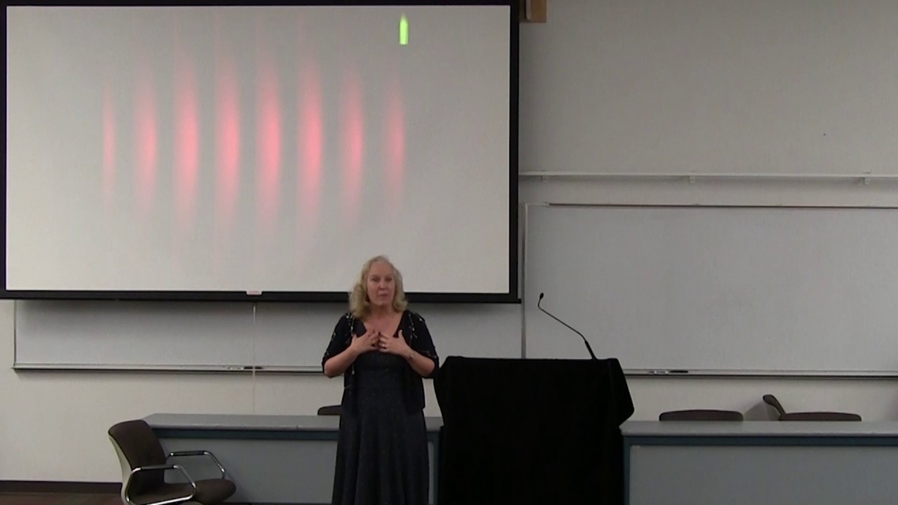 Randi McGinn – 2017 Peter Chase Neumann Lecture on Civil Justice