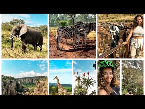 Video: Verantwoord reizen in Afrika: de complete gids