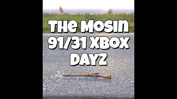 DayZ Mosin 91/31 & PU Scope Guide – Become a passable Sniper in DayZ