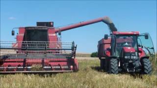 MEGA Blog - Moissons 2016 - Case IH 2366 .