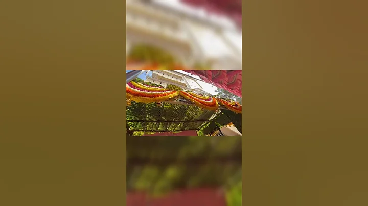 My Brother's Haldi function 💛✨ vibes #haldi #haldiceremony #marriedlife #shortsfeed #shorts