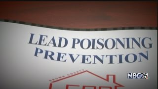 The Dangers of Lead Part II