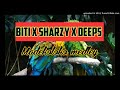 BITI x SHARZY x DEEPS - Madekoloko medley (ROVIANA HITS 2020)