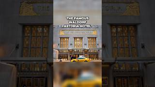 Celebrity From Fur Trade to Real Estate Empire: The Astor Family's Rise to Wealth Wealth