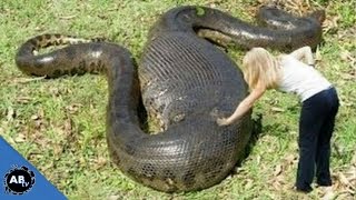 Search For The World's Biggest Snake! SnakeBytesTV
