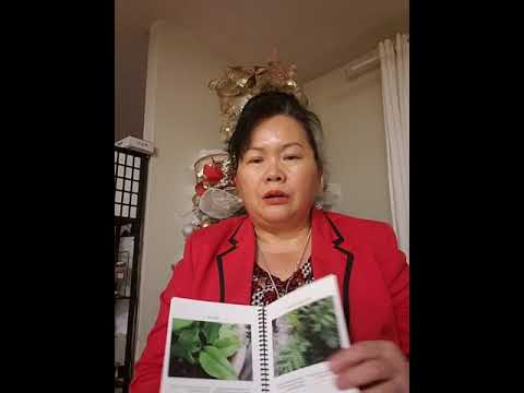 Video: Herb Garden Design - Ntau Hom Tshuaj Ntsuab Vaj
