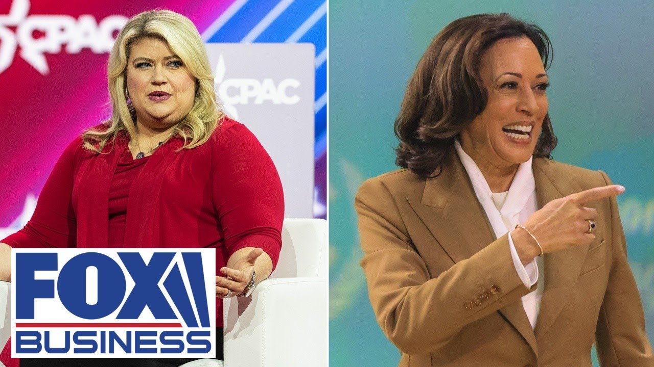 Anything VP Harris touches ‘turns to crap,’ says Florida lawmaker