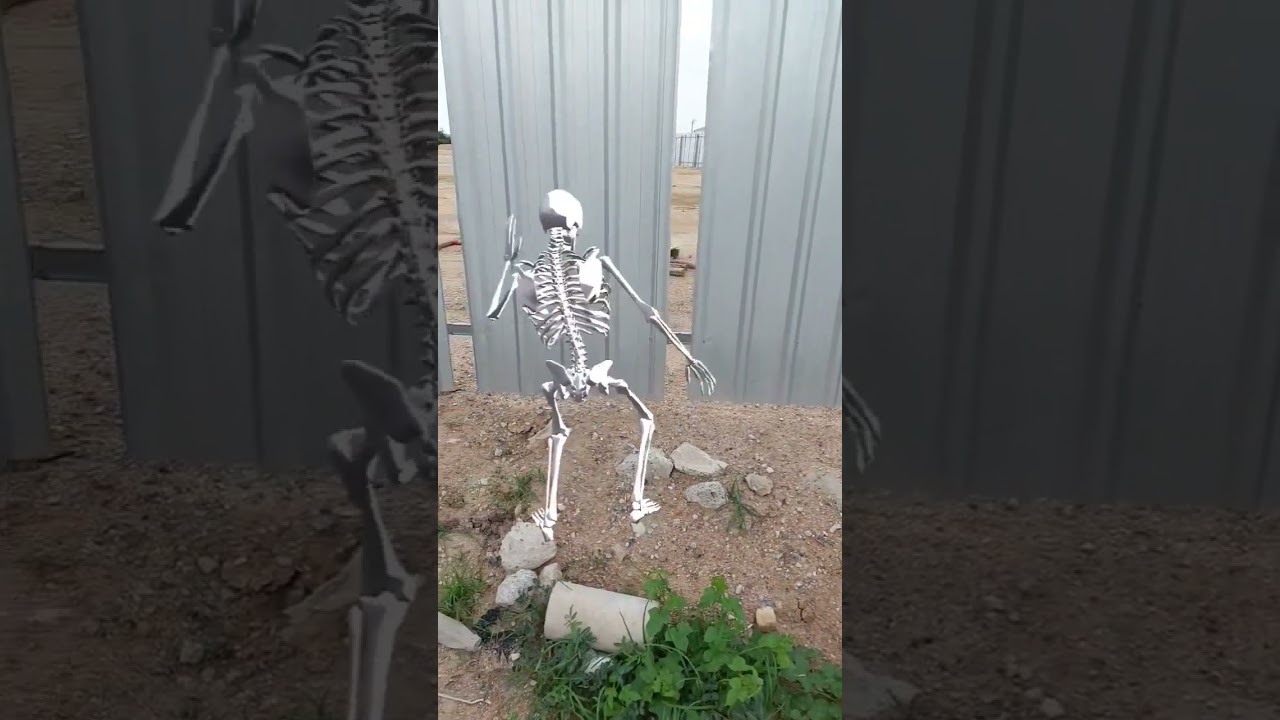 dancing skeleton #effects #เต้น #เพลงมันๆ #ผี #ghost #shorts