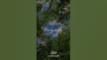 ما تيسر من سورة مريم | تلاوة خاشعة بصوت رضا سعد #القرآن_الكريم #سورة_مريم #رضا_سعد #تلاوة_خاشعة