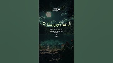 أرح سمعك ❤️ |سورة الفيل #قرآن