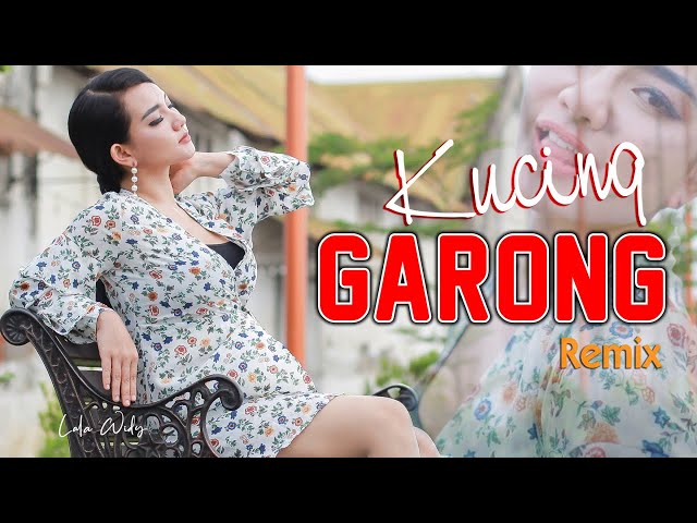 Lala Widy - Kucing Garong  (REMIX)   |   Official Music Video class=