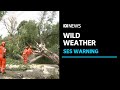 Severe weather warnings issued for parts of Victoria | ABC News