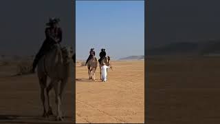 Camel riding at wahiba sands ,Oman #short  #trending #camel #desert #oman #travel #shorts