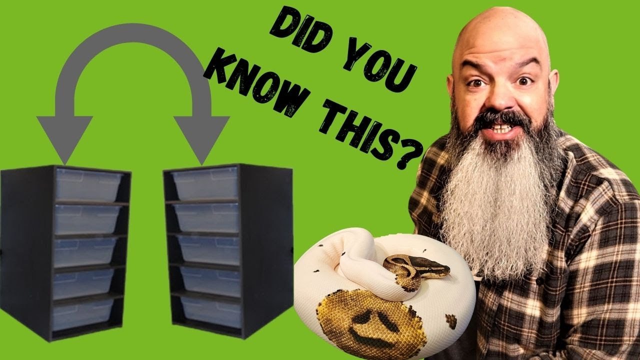 I Got A new Snake Rack: Review, Setup and SECRET TIP! - YouTube